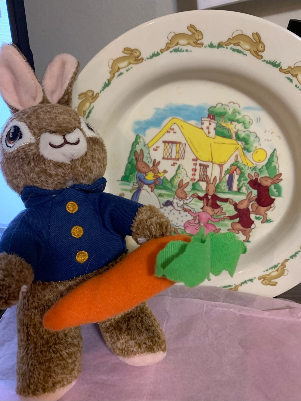 Plush Bunny Stuffed Animal with matching plastic bunny family plate